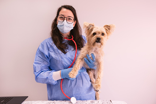 recognizable female veterinarian posing to the camera wearing face mask and doctor clothes with a small dog in her arms