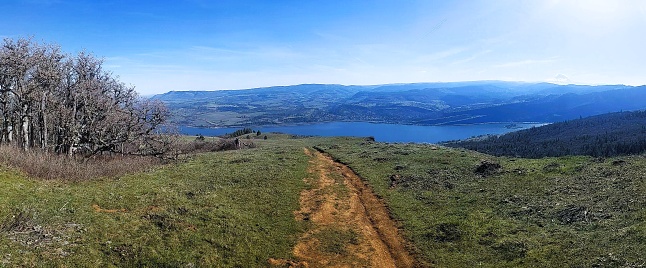 View looking down a mountain biking trail on a steeply sloping meadow with a few small pine trees down near a massive river winding out of view. Taken on the Coyote Wall Loop, a popular hiking and mountain biking trail in the Columbia River Gorge to the east of Vancouver, WA.