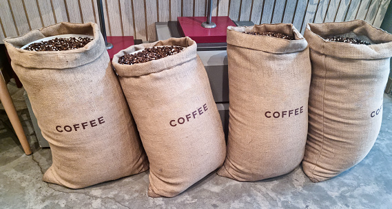 Coffee beans roasted and packed in a burlap bag