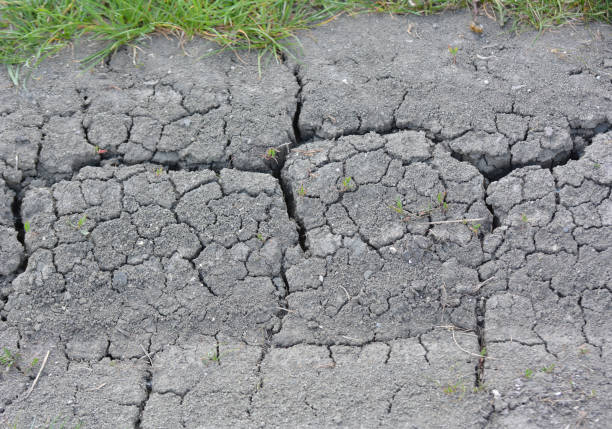 Cracked fertile ground in the field due to heat