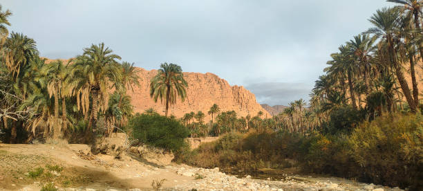 istock The village Dechra Hamra in El Kantara 2117956239