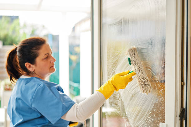 istock Domestic Cleaning Services -  Domestic Helper Cleaning Windows 2117956762
