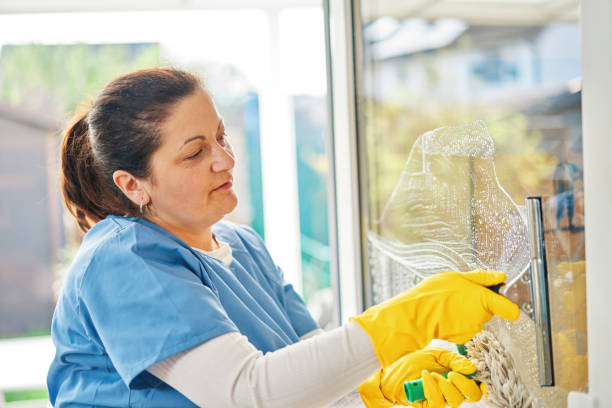 istock Domestic Cleaning Services -  Domestic Helper Cleaning Windows 2117957813