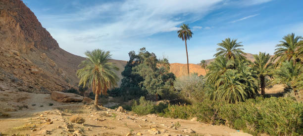 istock El Kantara. Biskra. Algeria 2117958887