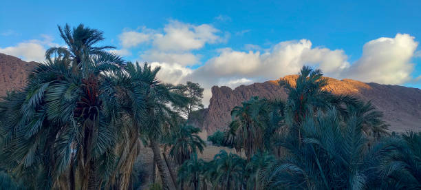 istock The village Dechra Hamra in El Kantara 2117963643