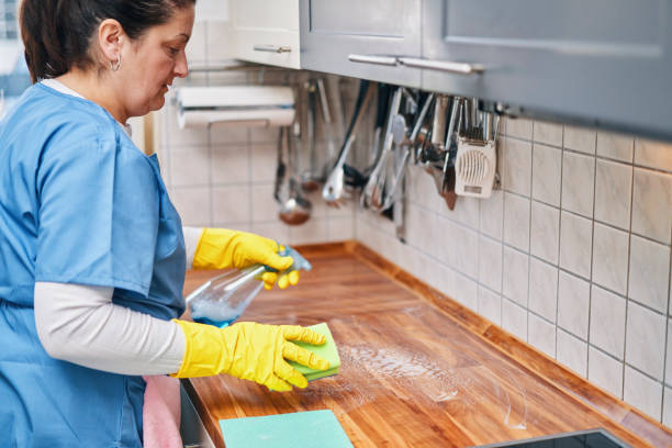 istock Domestic Cleaning Services -  Domestic Helper Cleaning Kitchen 2117964225