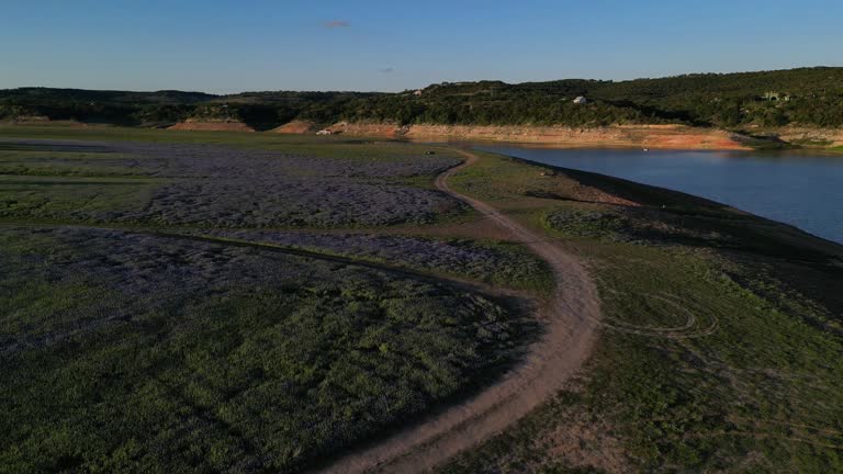 Texas Bluebonnet Field Aerial View