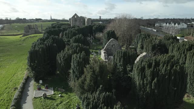 Lush Green Trees Growing At Cathedral of St. Peter and Paul And Newtown Clonbun Parish Church Ruins In Trim, Ireland. - aerial descend