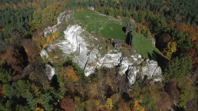 The ancient walls of a medieval fortress rise among the colorful canvas of an autumn forest in this drone capture. Mount Birow, Polish Jura, Polish Jurrasic Haighland, Poland