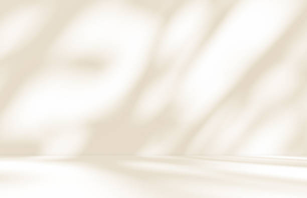 istock Empty cream brown beige room studio with shadow of leaves for product presentation. 2118026416
