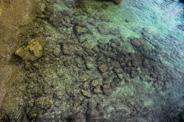 istock Stones under water with crystal clear sea water near Phi Phi island. 2118028601