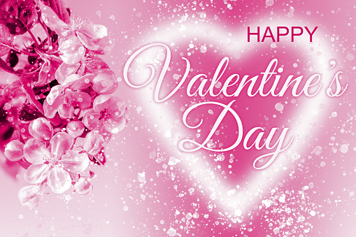 Glowing heart shape with HAPPY VALENTINE'S DAY lettering, apple tree blossom and lots of glittering particles. Toned in pink image. Can be used as a design for Valentine's day holiday greeting cards or posters.