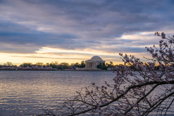istock The Jefferson Memorial 2118037371