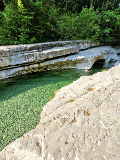 istock Taugl river with clear water between rocks 2118057787