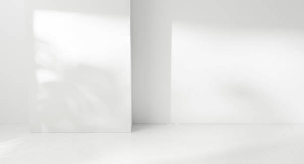 wall empty abstract Room Studio background sunlight and leafs shadows room corner cozy room display background - abstract white studio plaster wall and white floor shadows interior white background