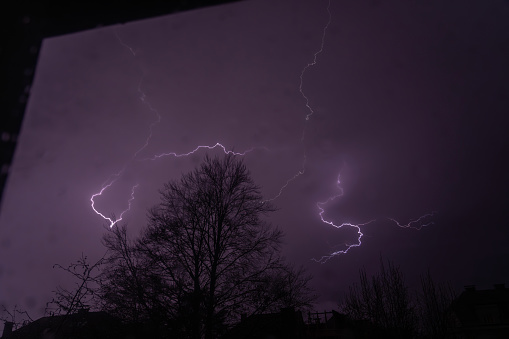 Multiply lightning strike against purple sky and tree at night, photo made through glass of the window.