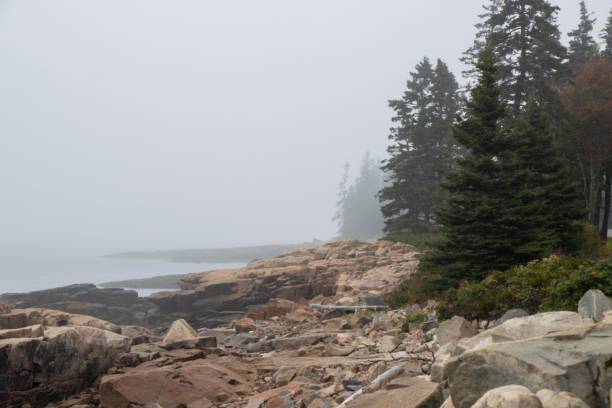 istock Foggy scene along the Maine coast 2118191616