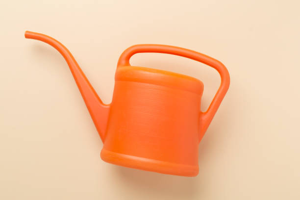 istock Watering can on color background, top, view 2118196782