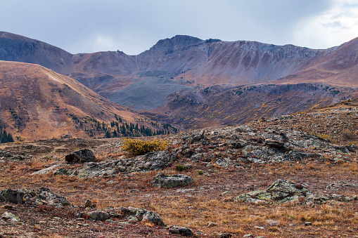 Autumn scenery at Independence Pass, Colorado, USA