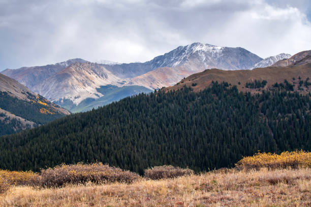 Autumn scenery at Independence Pass, Colorado, USA