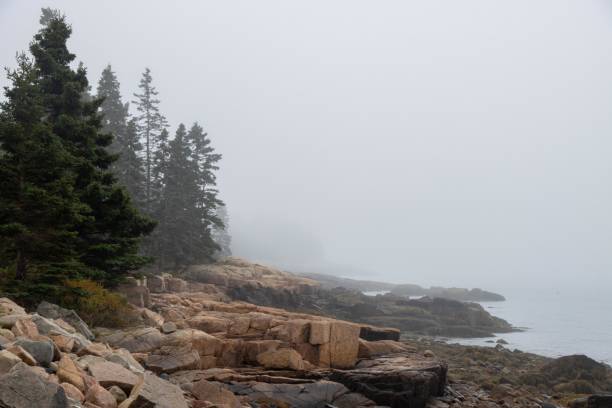 istock Foggy scene along the Maine coast 2118217187