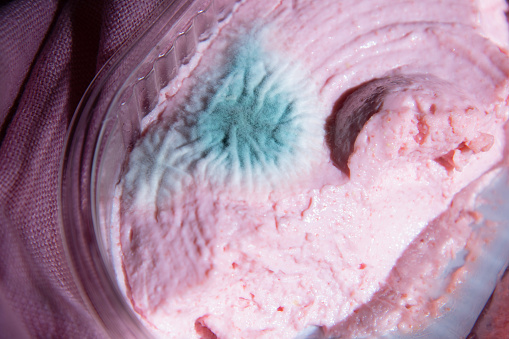 blue mold on pink taramasalata in packaging, violation of food storage norms, toxic food, creative texture. High quality photo