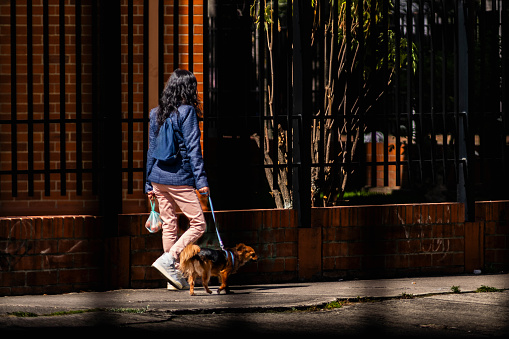 Bogota Colombia 21 de Febrero de 2024:Exploring the city: Woman walking her dog