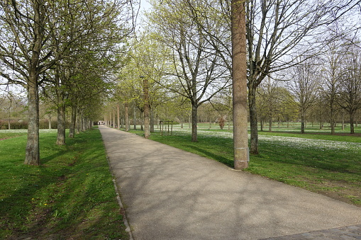 Pedestrian path lined with trees in a public park in the Paris region  Spring season