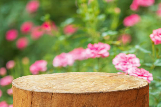 istock Empty old tree stump table top with blur rose garden background for product display 2118393002