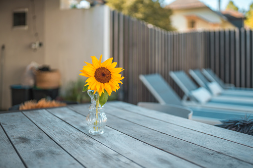 A vibrant sunflower stands in a clear glass vase on a rustic wooden table, adding a touch of natural beauty to an outdoor deck in a residential backyard setting.