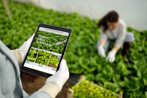 A woman is checking her online store on a digital tablet, which showcases the green lettuce she is selling from her greenhouse farm.