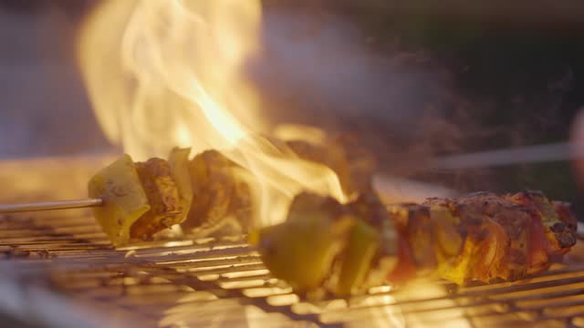 Grilling Kebabs Over Blazing Flames - Close Up