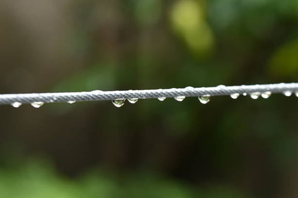 macro photography water drops on wire dew raindrop in nature on blurred background.