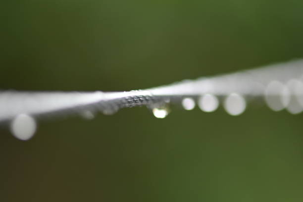 A delicate spider web adorned with dew drops, captured in a close-up with a soft blue background. The water droplets add a sparkling effect, enhancing the intricate design of the web.