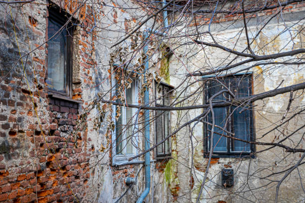 A building in the centre of the city with a tree in and branches.