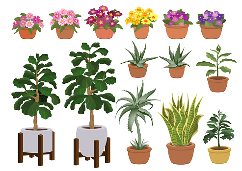 Set of hand-drawn houseplants. A variety of house flowers. Indoor plants in ceramic pots. Plant in pot isolated on a white background. Home or office interior decoration. 3D Vector illustration.