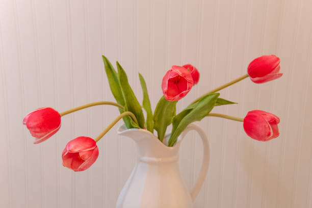 Spring Tulips in a pitcher- Howard County, Indiana