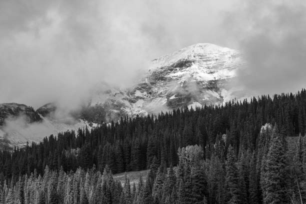 Thick Fog Rolling Across Rugged Snow Covered Mountain Tops at Tree Line, Copy Space, Dark Sky, Black and White Image