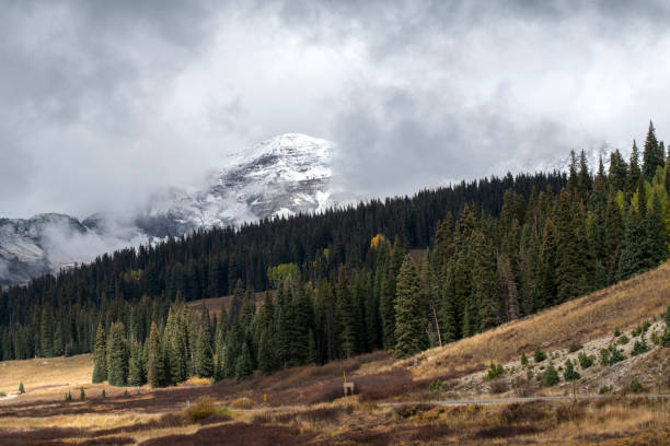 Scenery of Kebler Pass in Autumn, Colorado, USA