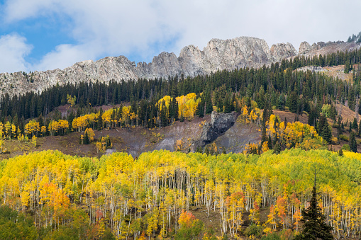 Kebler Pass in Autumn, Colorado, USA