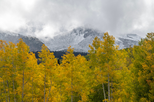 Kebler Pass in Autumn, Colorado, USA