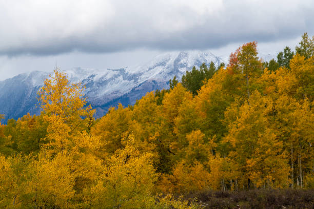 istock Kebler Pass in Autumn 2118508171