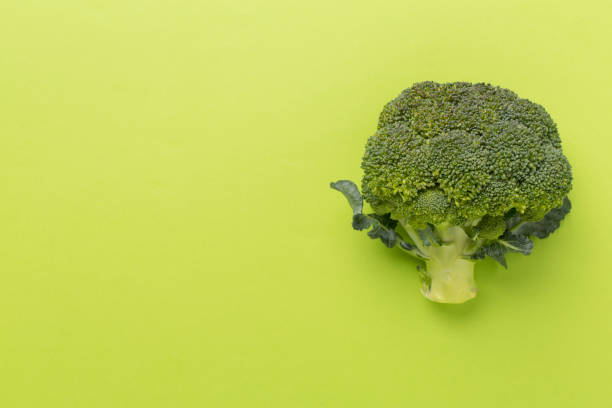 istock Flat lay with fresh broccoli on color background 2118520126