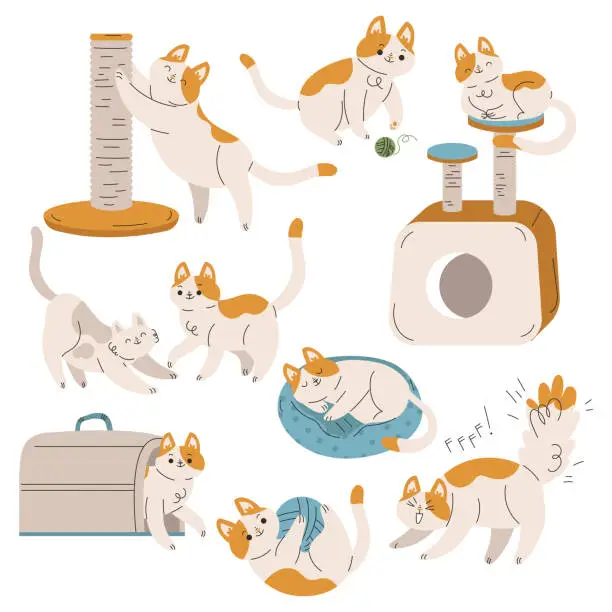 Vector illustration of Funny Cat Domestic Pet with Pretty Snout Engaged in Different Activity Vector Set