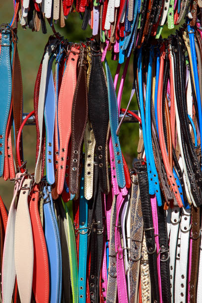 istock background of colored collars 2118541475
