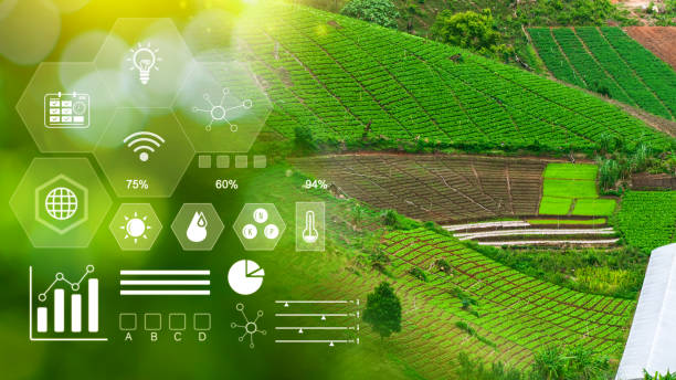 istock Infographics smart farming and precision agriculture with visual icon, Innovation technology for smart farm system, Agriculture management, smart technology concept modern technology. 2118541482