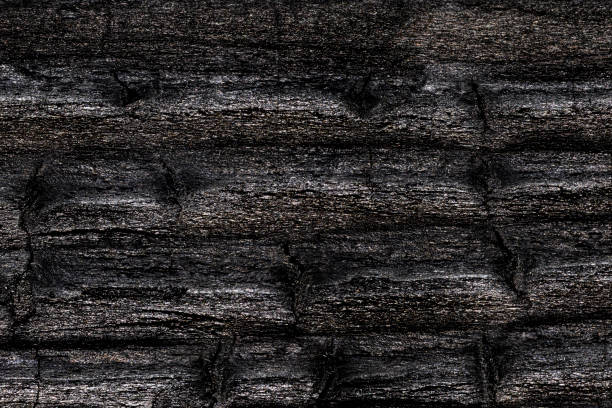 High angle view of a flat textured wooden board backgrounds.It burnt and black colored with fire skill.It is carbonization the surface. It has a beautiful nature and abstractive pattern. A close-up studio shooting shows details and lots of wood grain on the wood table. The piece of wood at the surface of the table also appears rich wooden material on it. The wood is black and pattern on the bottom. Flat lay style. Its high-resolution textured quality. The close-up gives a direct view on the table, showing cracks and knotholes in the wood.