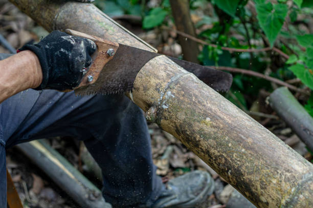 istock Man holding heavy ax. Axe in lumberjack hands chopping or cutting wood trunks 2118638684