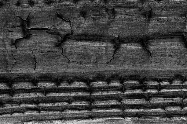 istock Overhead view of black wooden table 2118639194