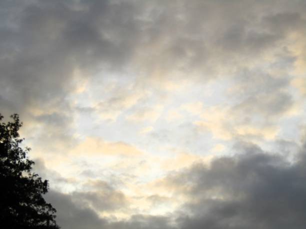 Nagareyama city, Chiba prefecture. Marvh. Dawn.